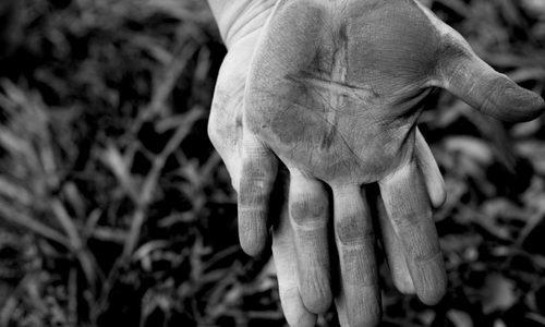 Fire Evidence Preservation